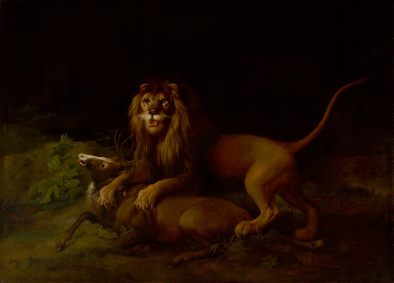 A Lion Attacking a Stag, between 1765 and 1766 by George Stubbs