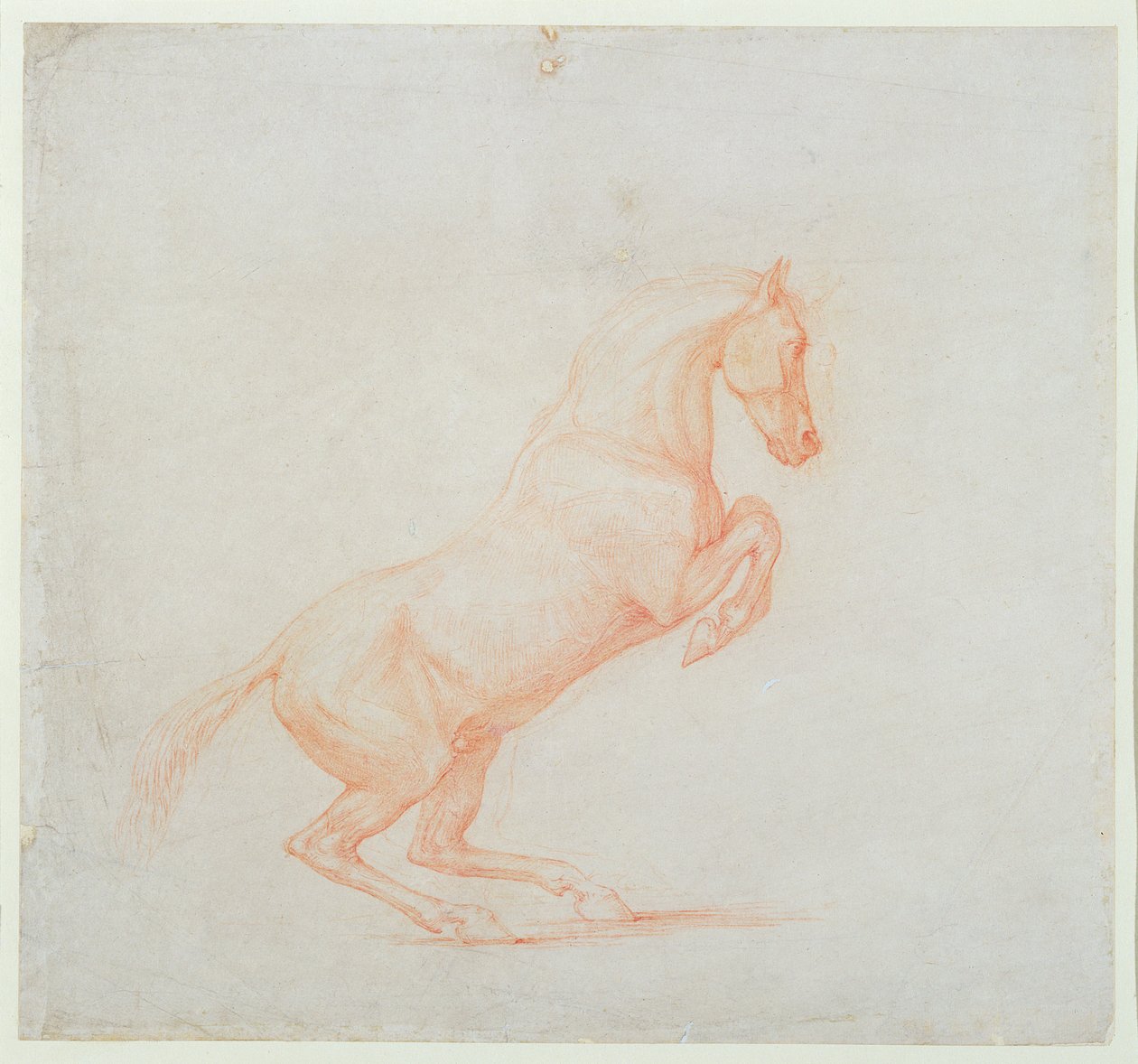 A Prancing Horse, Facing Right by George Stubbs