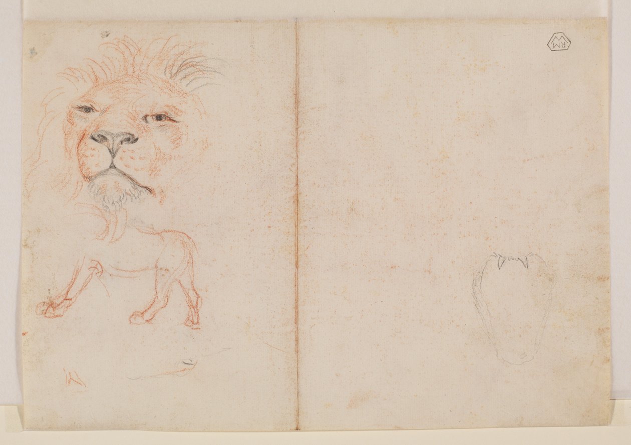 Head of a Lion, Verso by George Stubbs