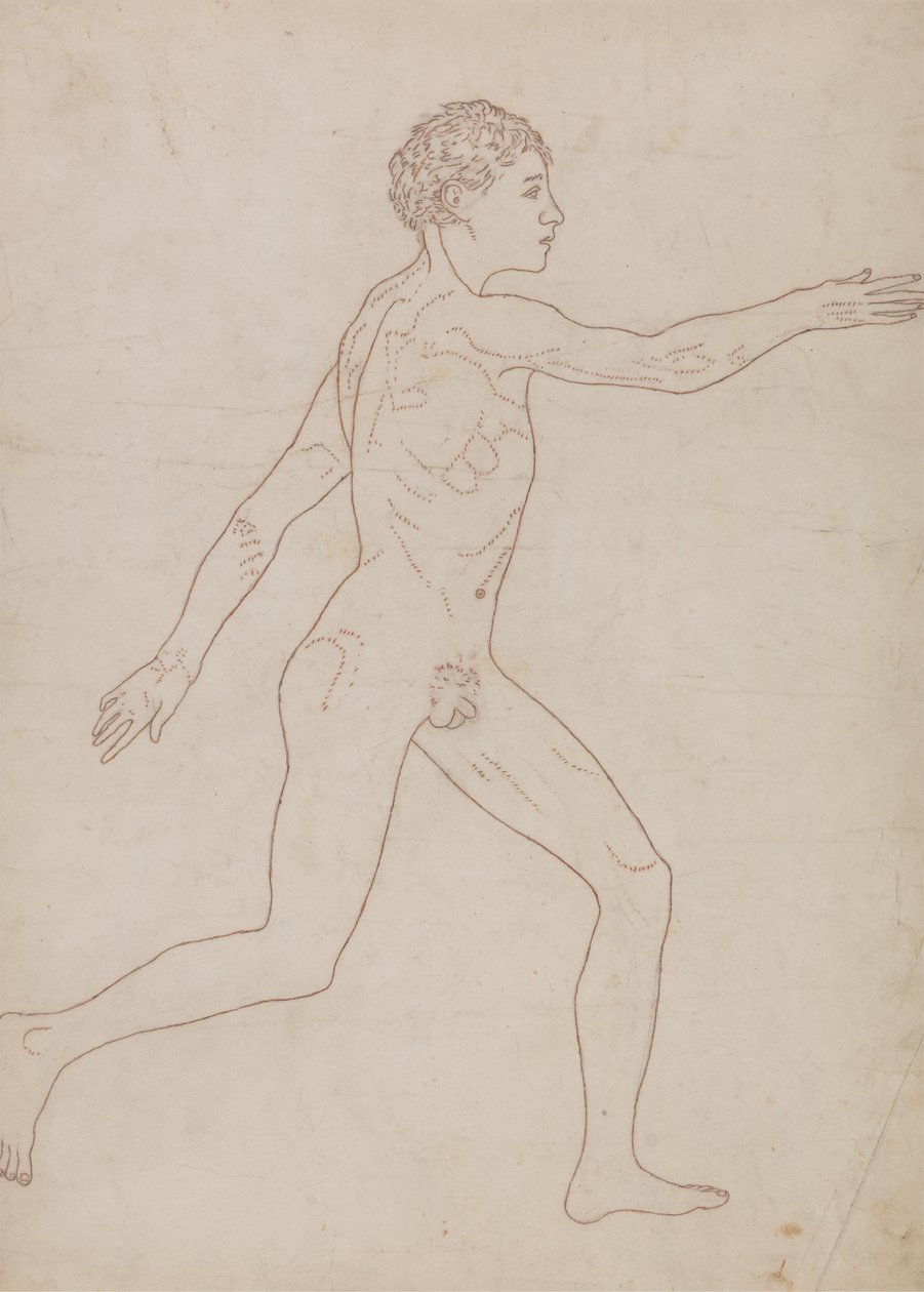 Human Figure, Lateral View (Outline Study in Reverse of Table VIII) by George Stubbs