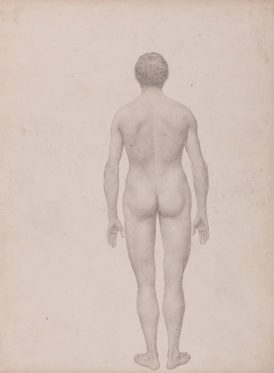 Human Figure, Posterior View, Undissected (Finished Study for Table VII) by George Stubbs