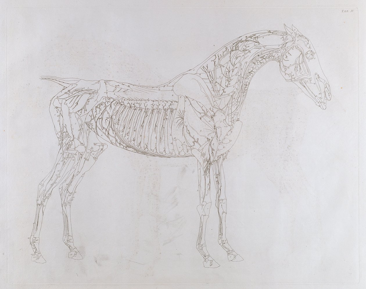 Illustration from 