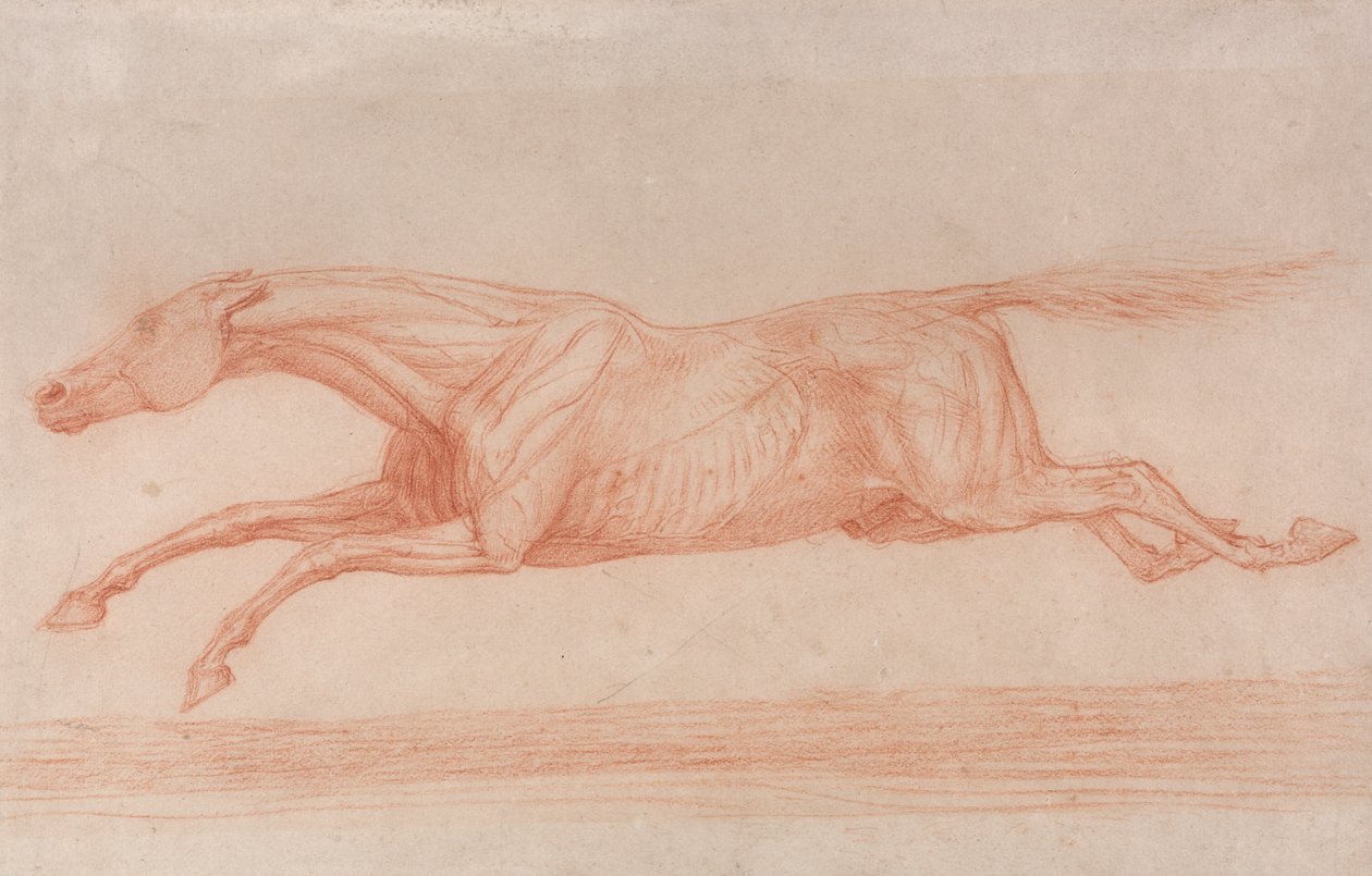 Study of a Racehorse in Action by George Stubbs