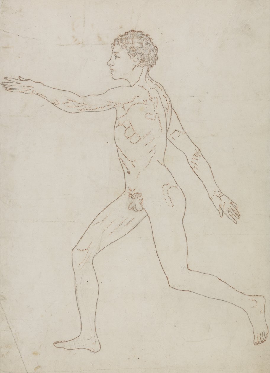 Study of the Human Figure, Lateral View by George Stubbs