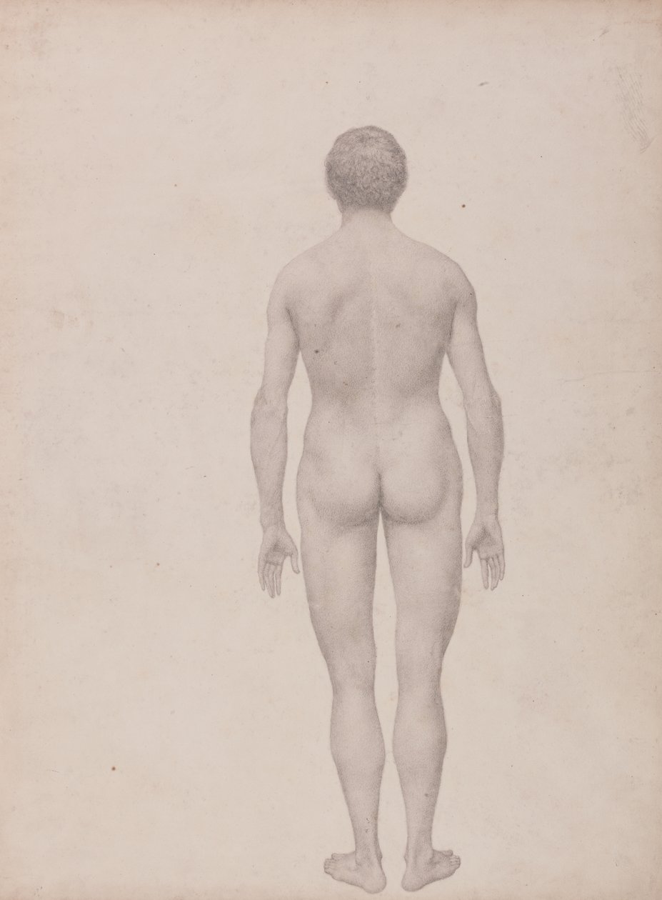 Study of the Human Figure, Posterior View, Undissected, Finished Study for Table VII, from A Comparative Anatomical Exposition of the Structure of the Human Body with that of a Tiger and a Common Fowl by George Stubbs