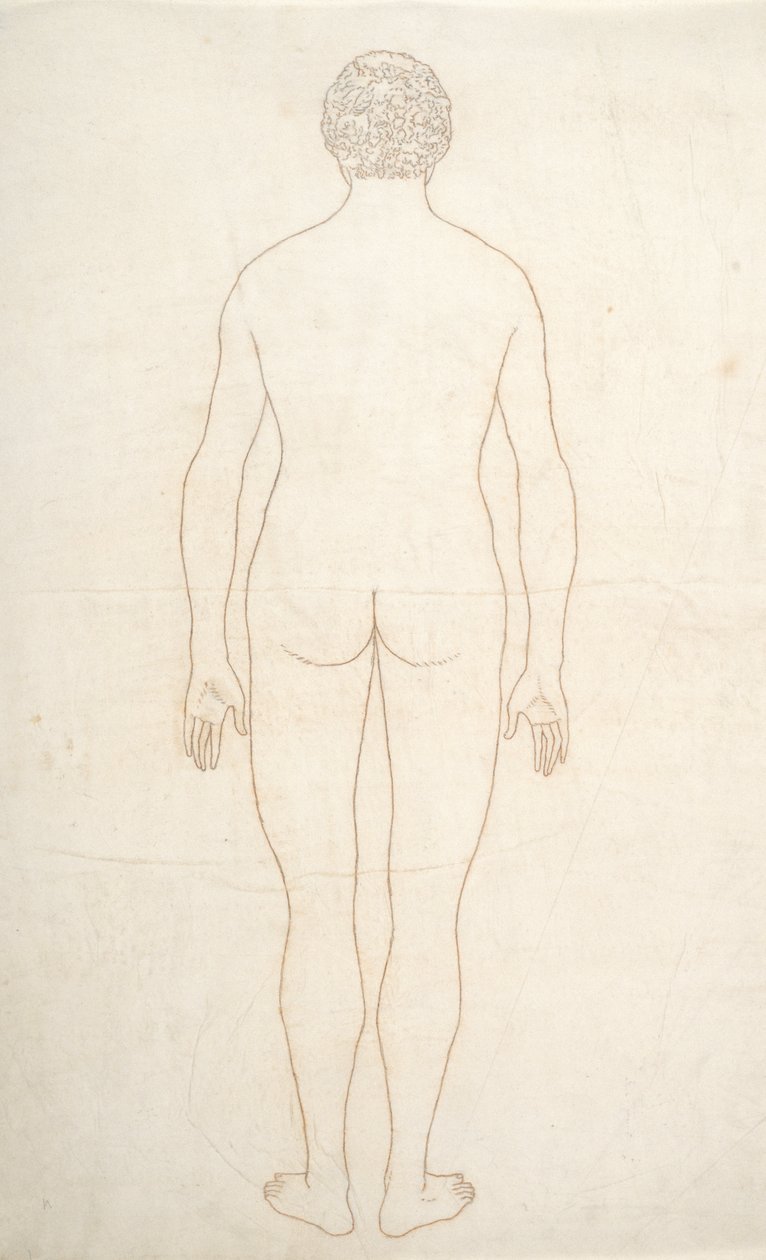 Study of the Human Figure, Posterior View, from A Comparative Anatomical Exposition of the Structure of the Human Body with that of a Tiger and a Common Fowl, c.1795-1806 by George Stubbs