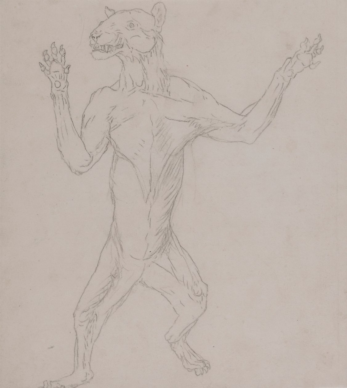 Tiger Body, Standing in Human Posture by George Stubbs