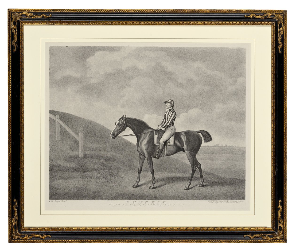 Pumpkin by George Townley Stubbs