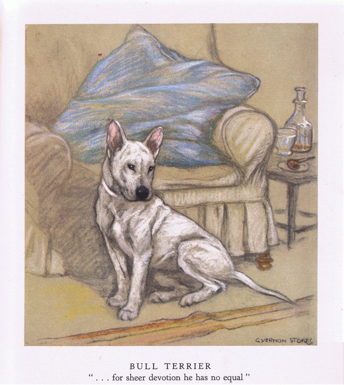 Bull Terrier by George Vernon Stokes