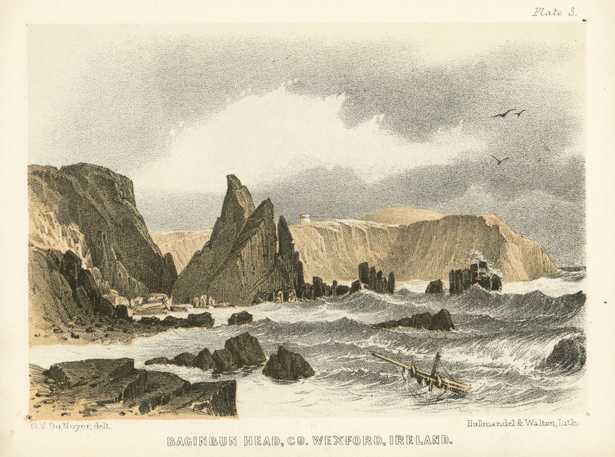Baginbun Head, Co Wexford, Ireland by George Victor Du Noyer