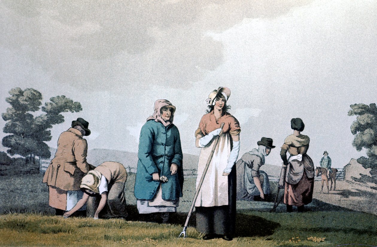 Lowkers - women who weeded corn by George Walker of Seacroft