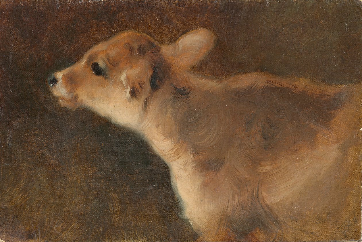 A Calf by George Wiliam Horlor
