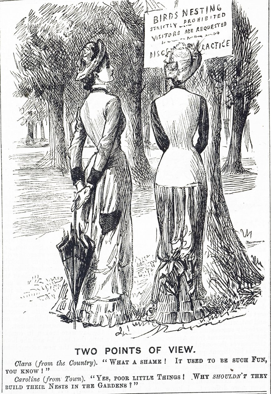 Cartoon Commenting on the Protection of Birds Act 1880 by George du Maurier