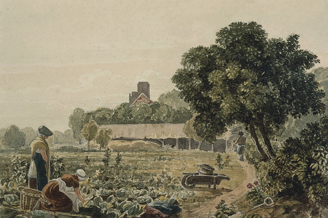 Market Garden at Chelsea by George the Younger Barret