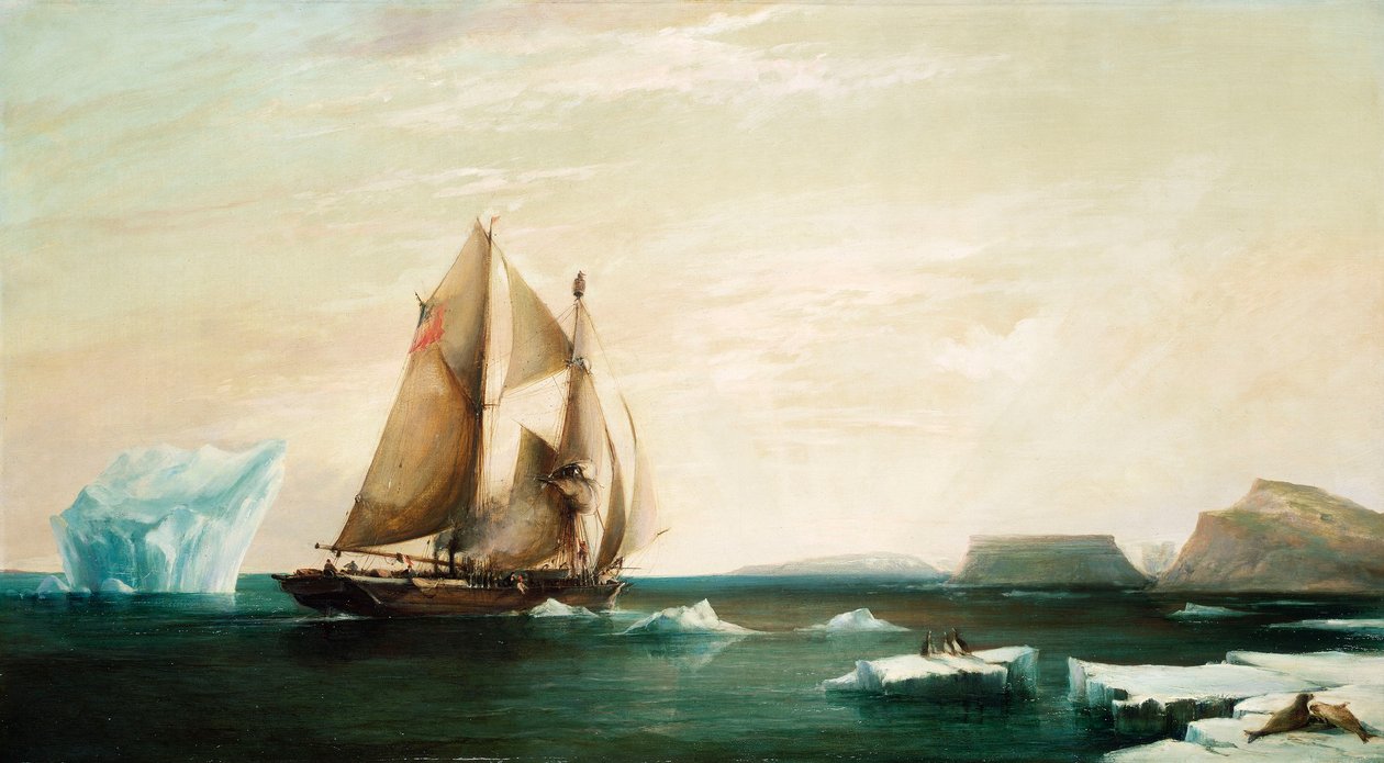 The Yacht 