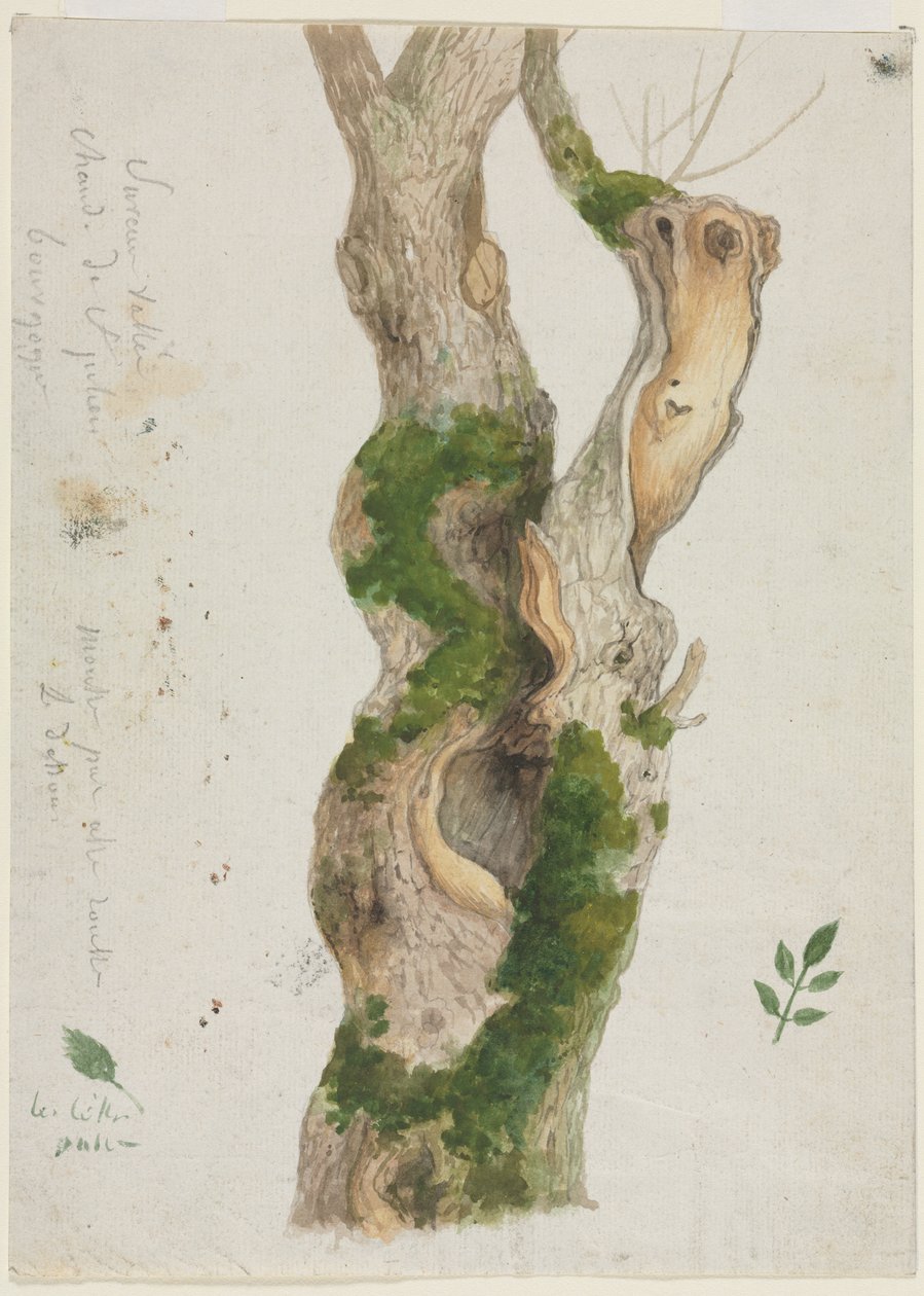 Study of a Tree Trunk by Georges Michel: Buy fine art prints