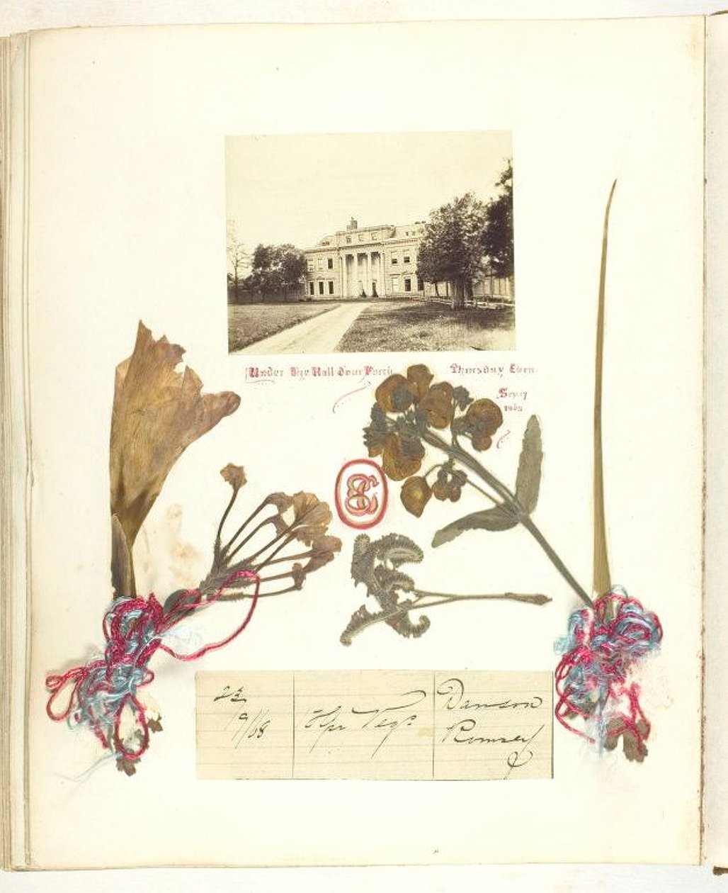 Untitled [View of Broadlands with Dried Flowers] by Georgina Cowper