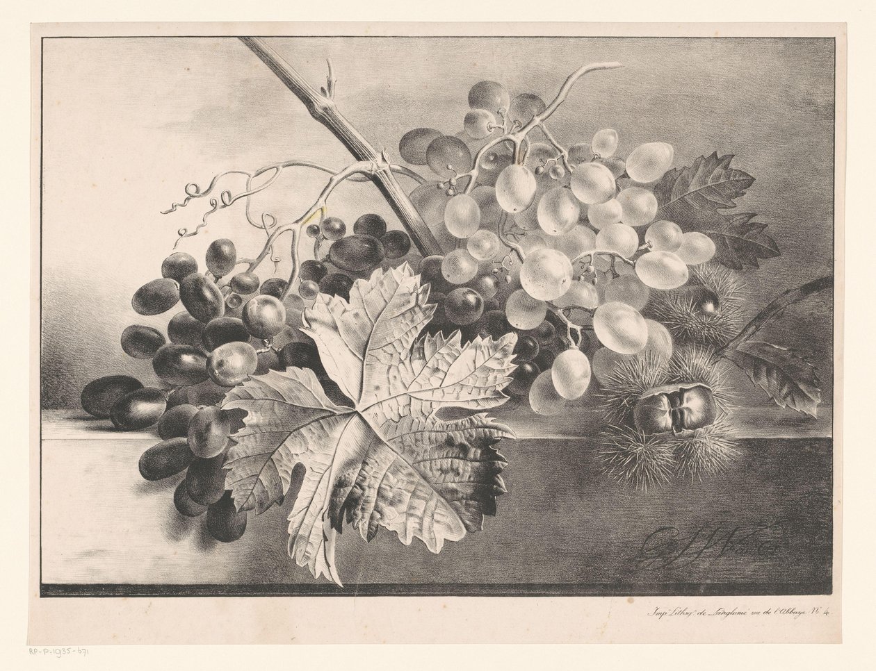 Still Life with Grapes and Chestnuts by Georgius Jacobus Johannes van Os