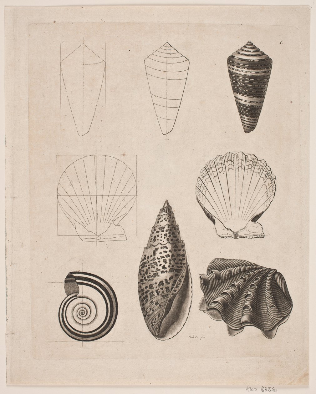 Board with Snails by Gerhard Ludvig Lahde