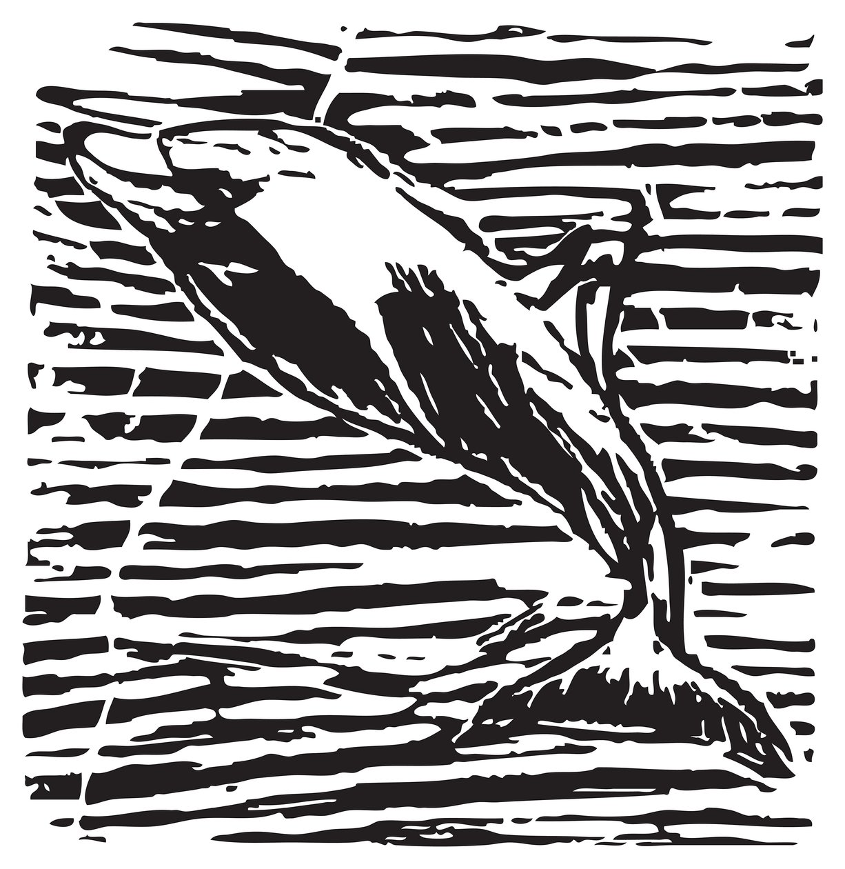 Dolphin by Gerhardt Isringhaus