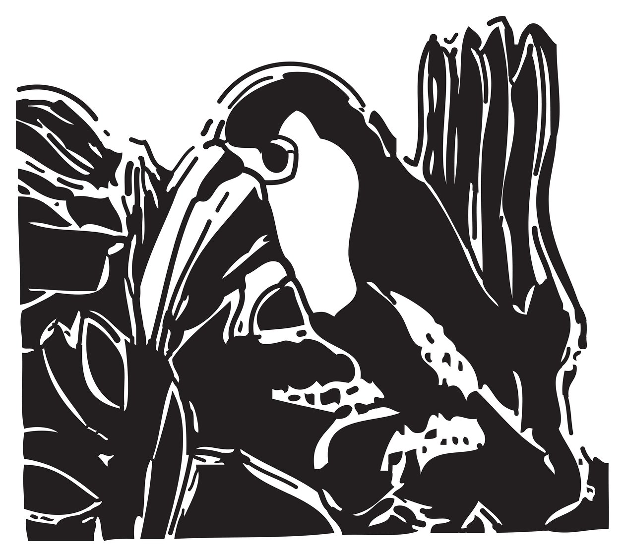 Toucan by Gerhardt Isringhaus