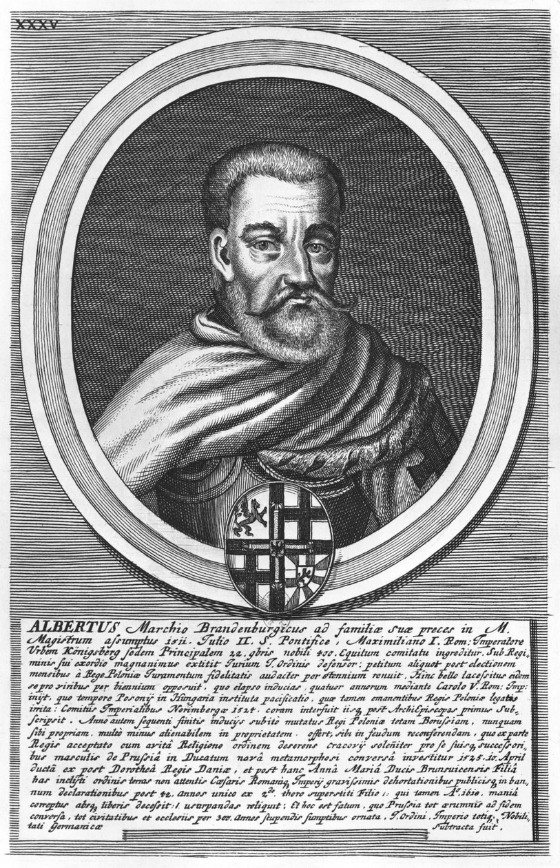 Albert of Brandenburg by German School