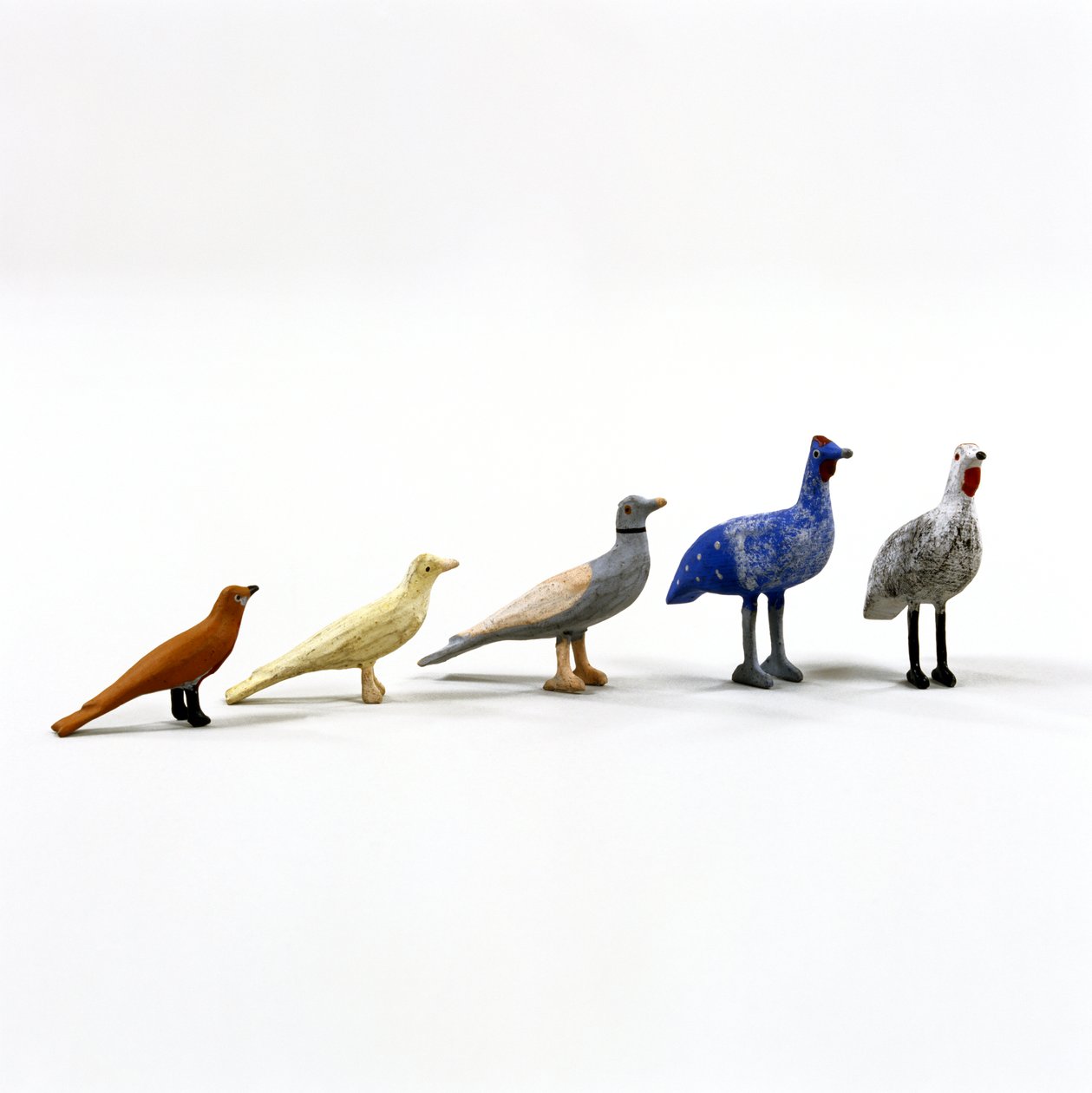 5 birds from a Noah