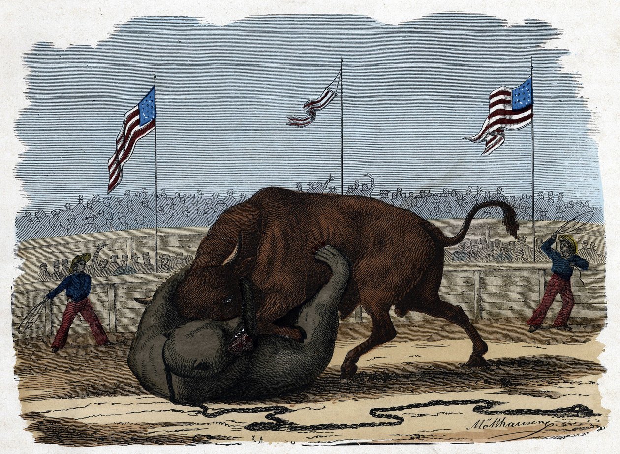 A fierce fight between a bull and a bear in an arena. In 
