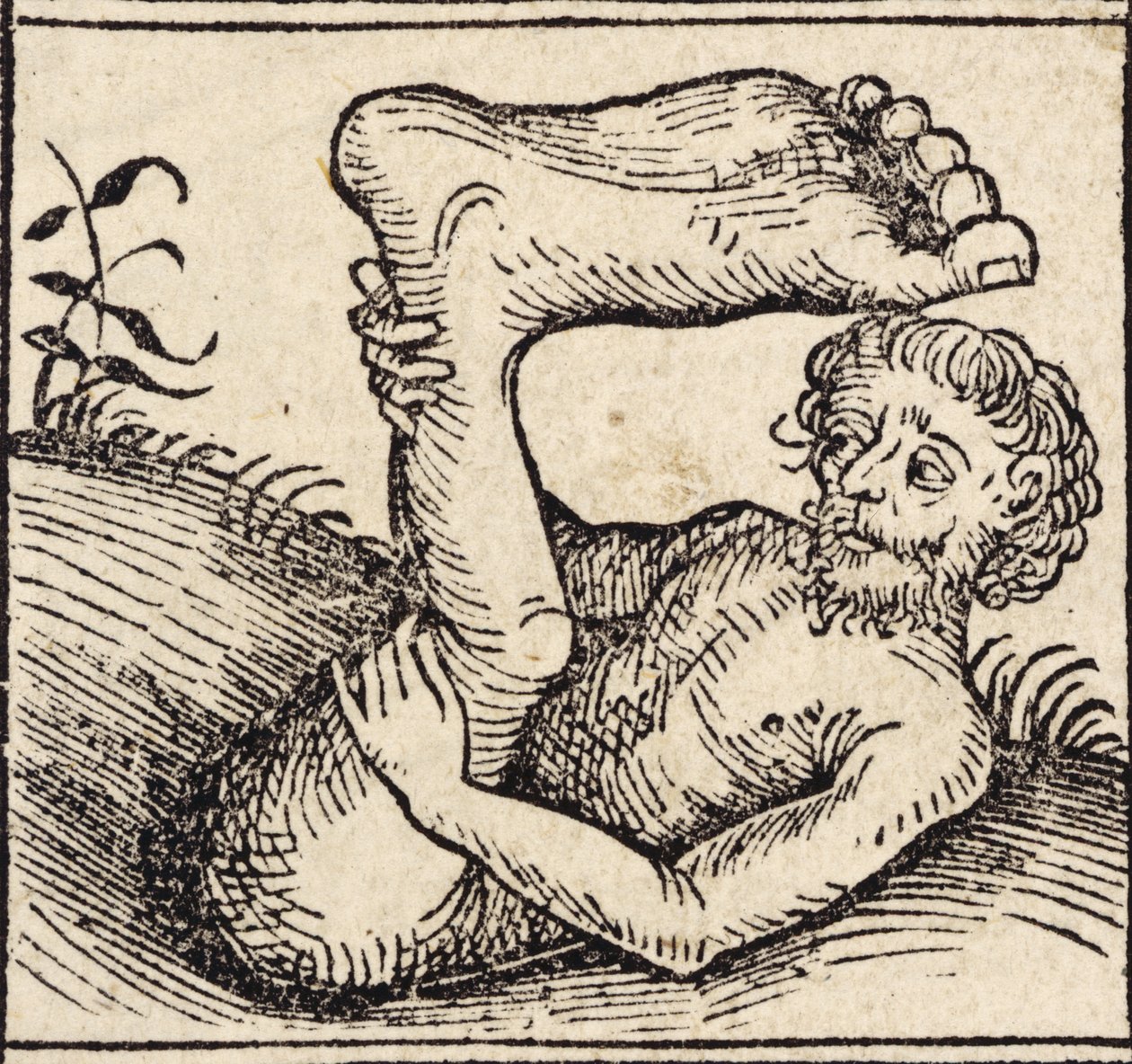 A Sciopod, Man with a Swollen Foot, from Registrum Hujus Operis Libri Cronicarum cum Figuris et Imagibus ab Inicio Mundi, by Hartmann Schedel by German School