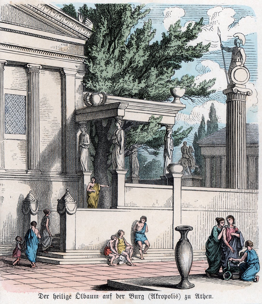 Ancient History. Greece. The Sacred Olive Tree on the Acropolis by German School