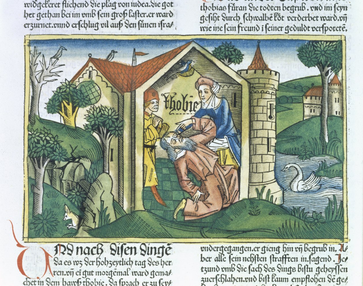 Apocrypha: Tobit is blinded by sparrows