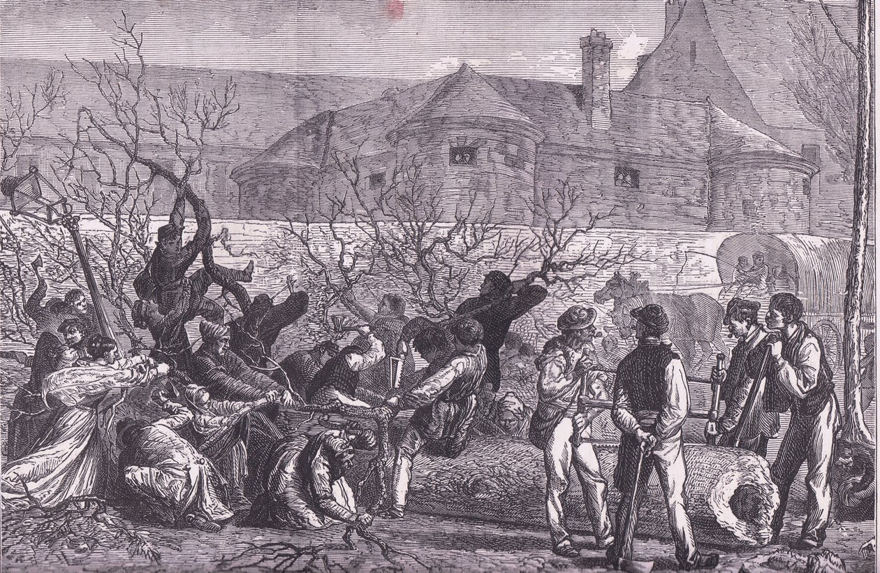 Cutting down trees round Paris for firewood by German School