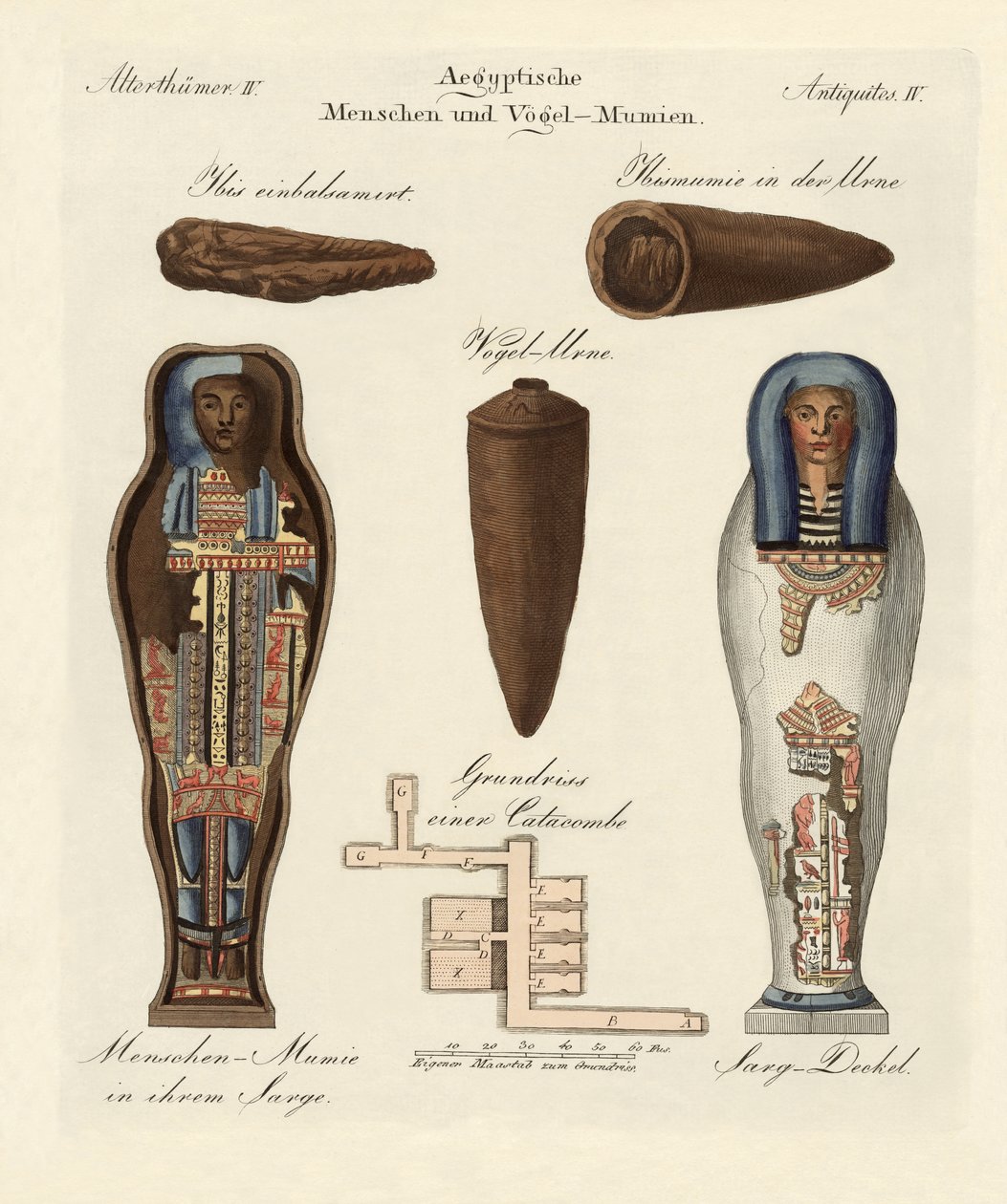 Egyptian Mummies by German School
