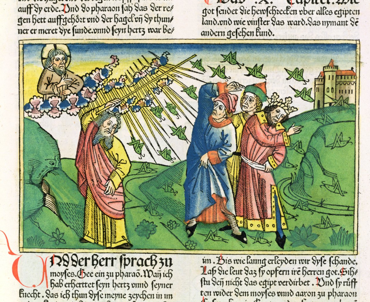 Exodus 10:1-20 The Seven Plagues of Egypt: the plague of locusts, from the Nuremberg Bible by German School