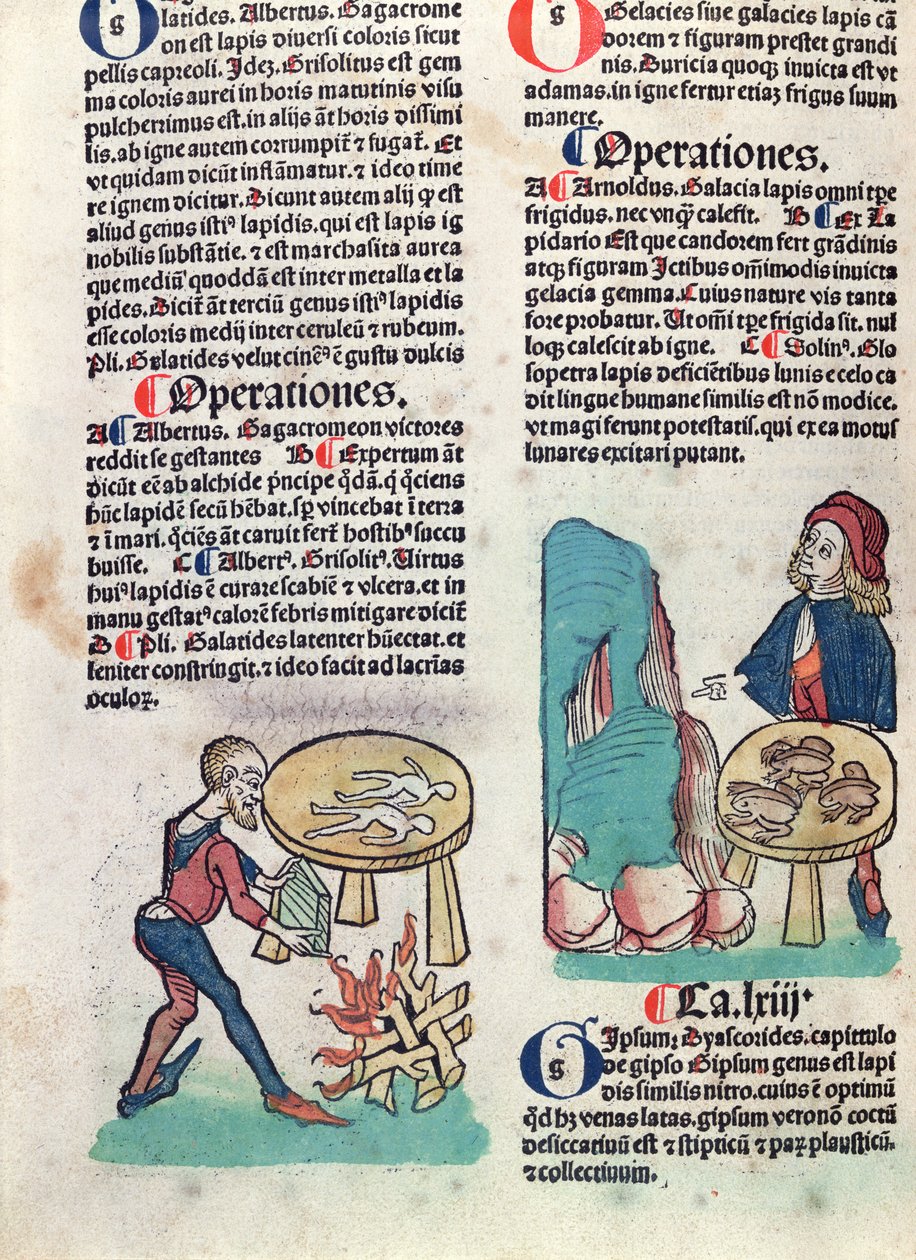 Illustrated page from Hortus Sanitatis, 1491 by German School