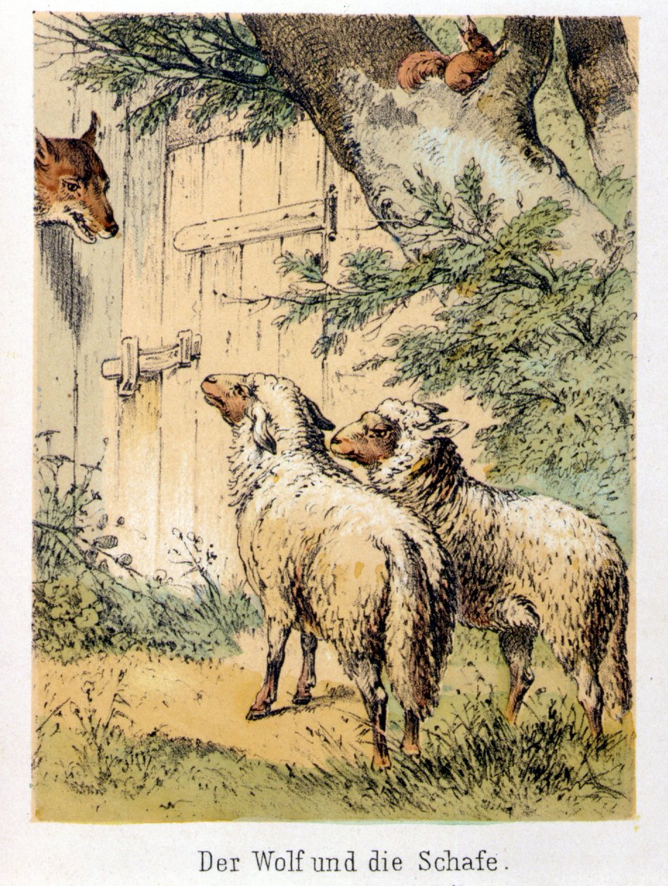 Illustration of Franz Hoffmann