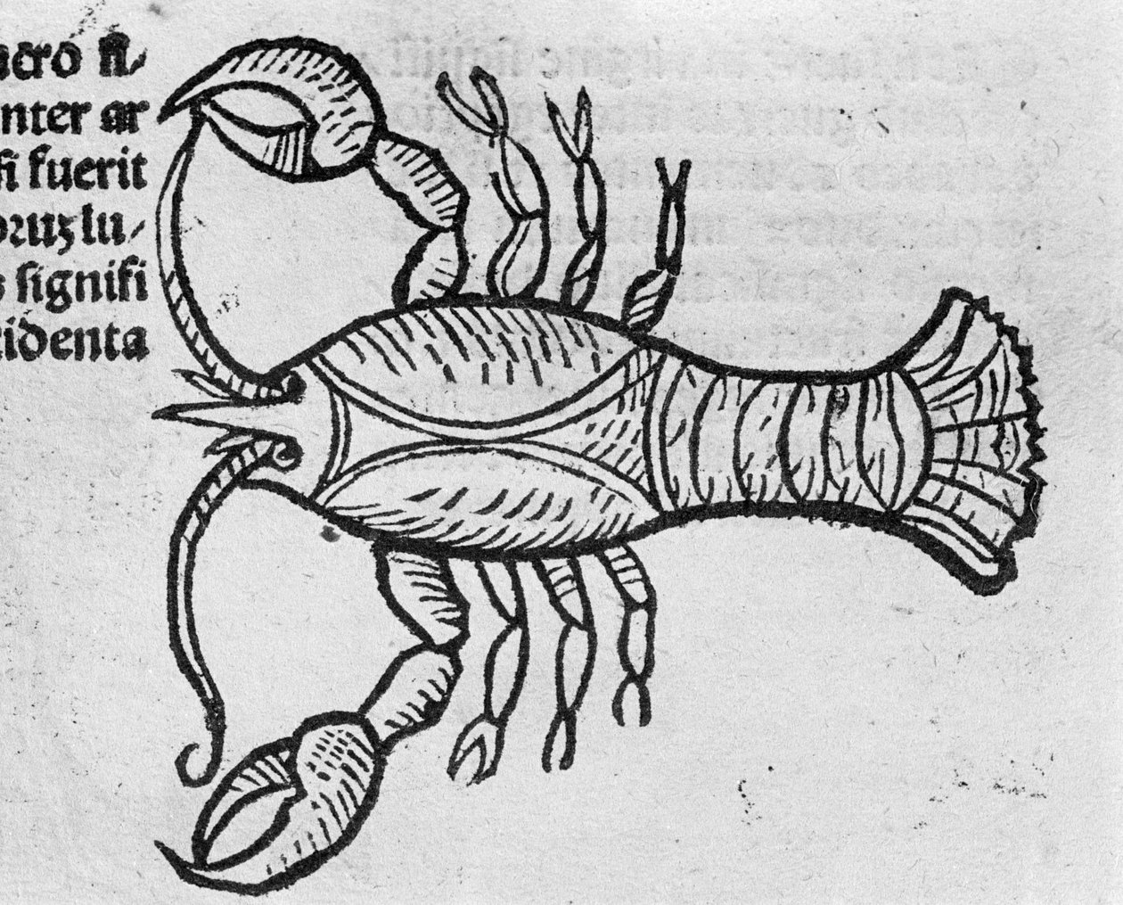Cancer - in Treatise by Johannes Angeli De Magnisconnectionibue Annorum Revolutionibus ac Eorum Perfectionibus. Augsburg, Erhard Ratdolt by German School