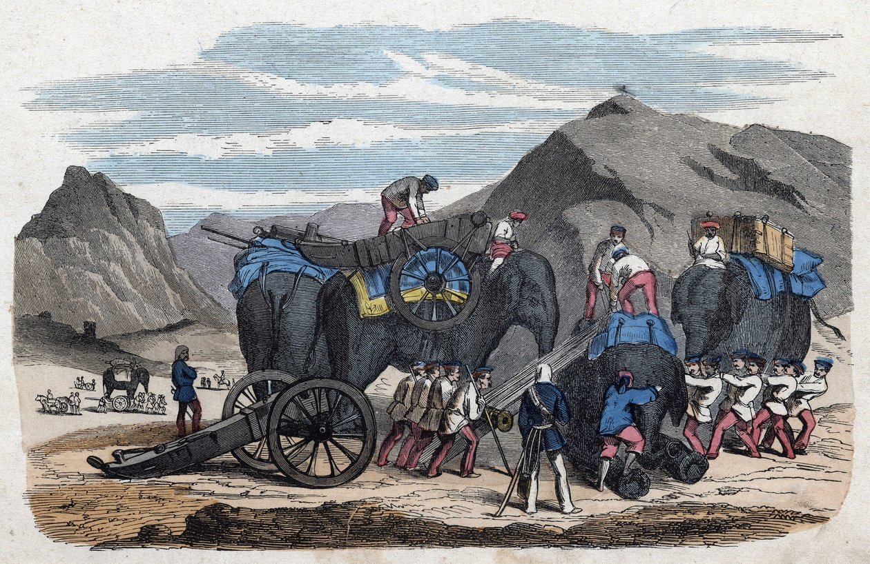 Loading Elephants for Mr. Bock