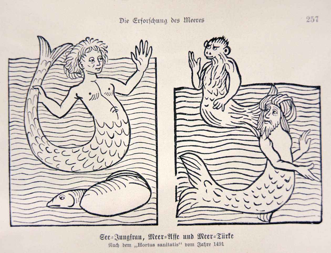 Mermaid and Merman from Jacob Meydenbach