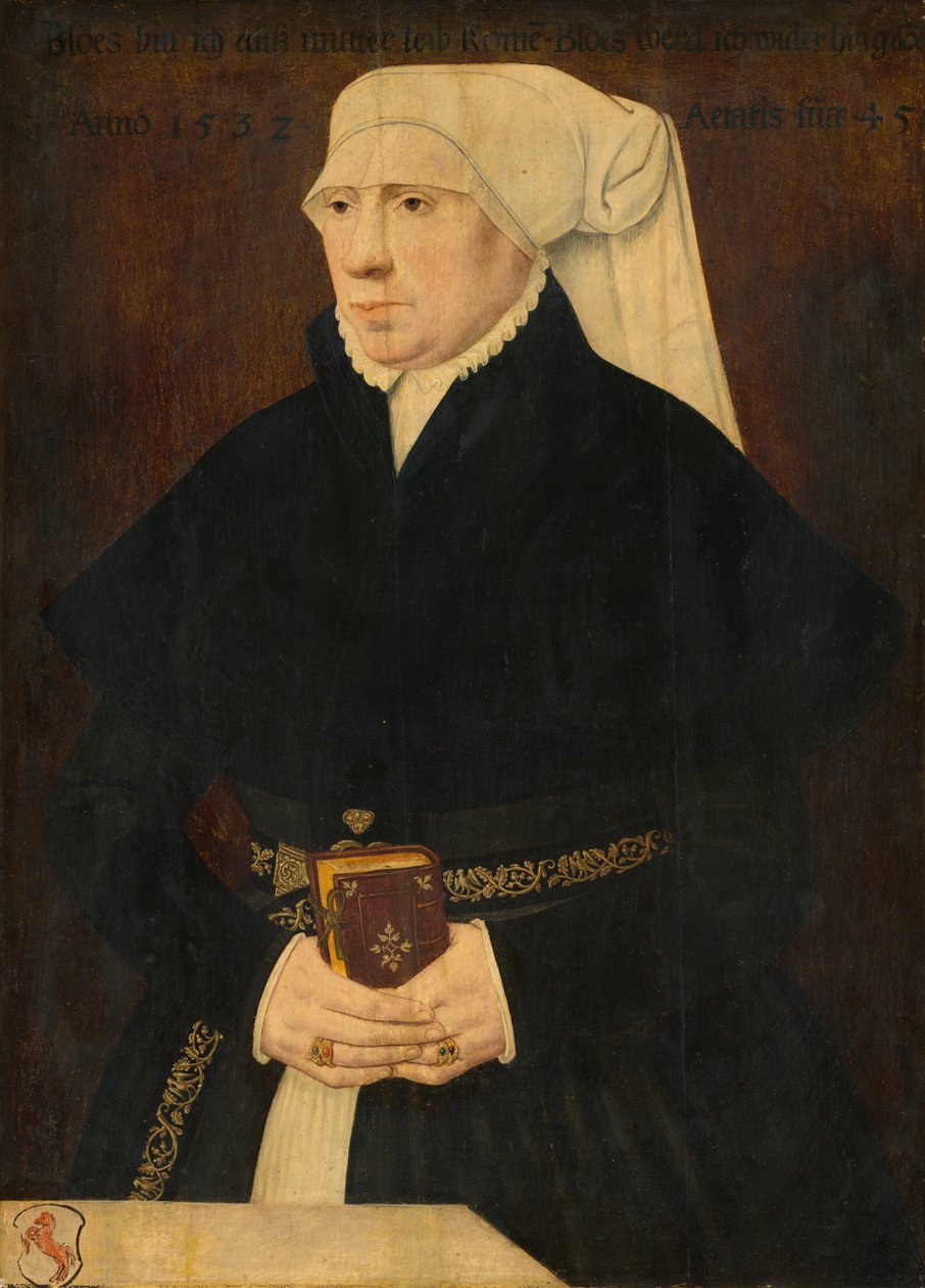 Portrait of a Lady by German School