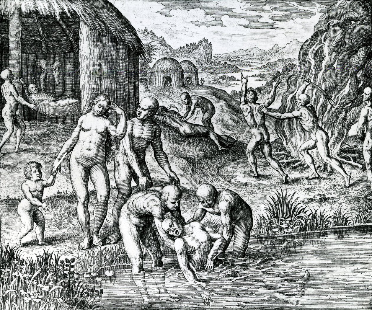 Remedies Used by Indians Against Diseases, Illustration from 