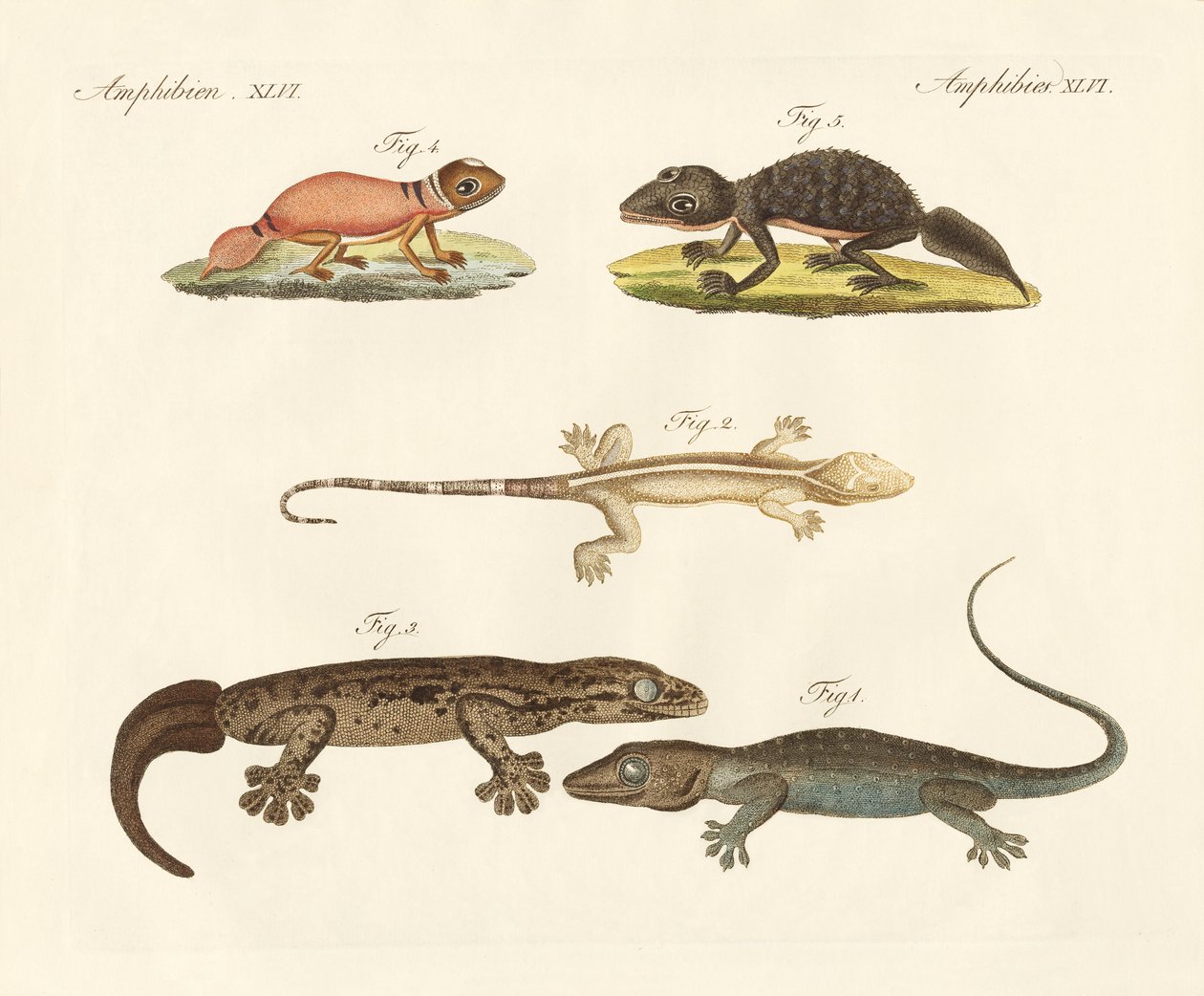 Strange dinosaurs by German School