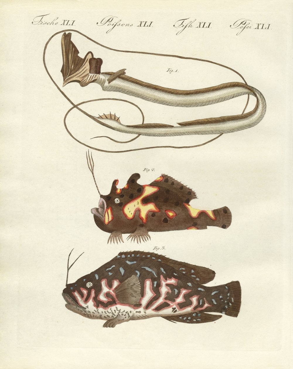 Strange Fish by German School