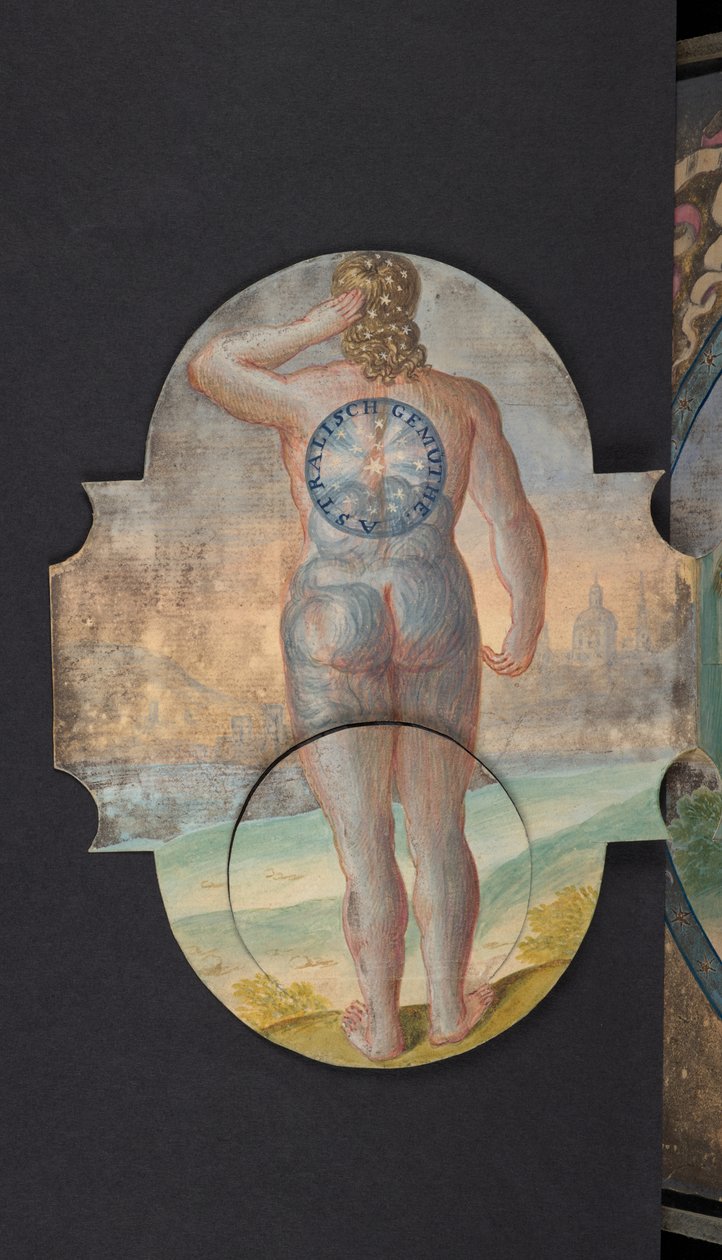 Tables representing man in three different states, Add MS 5788 by German School