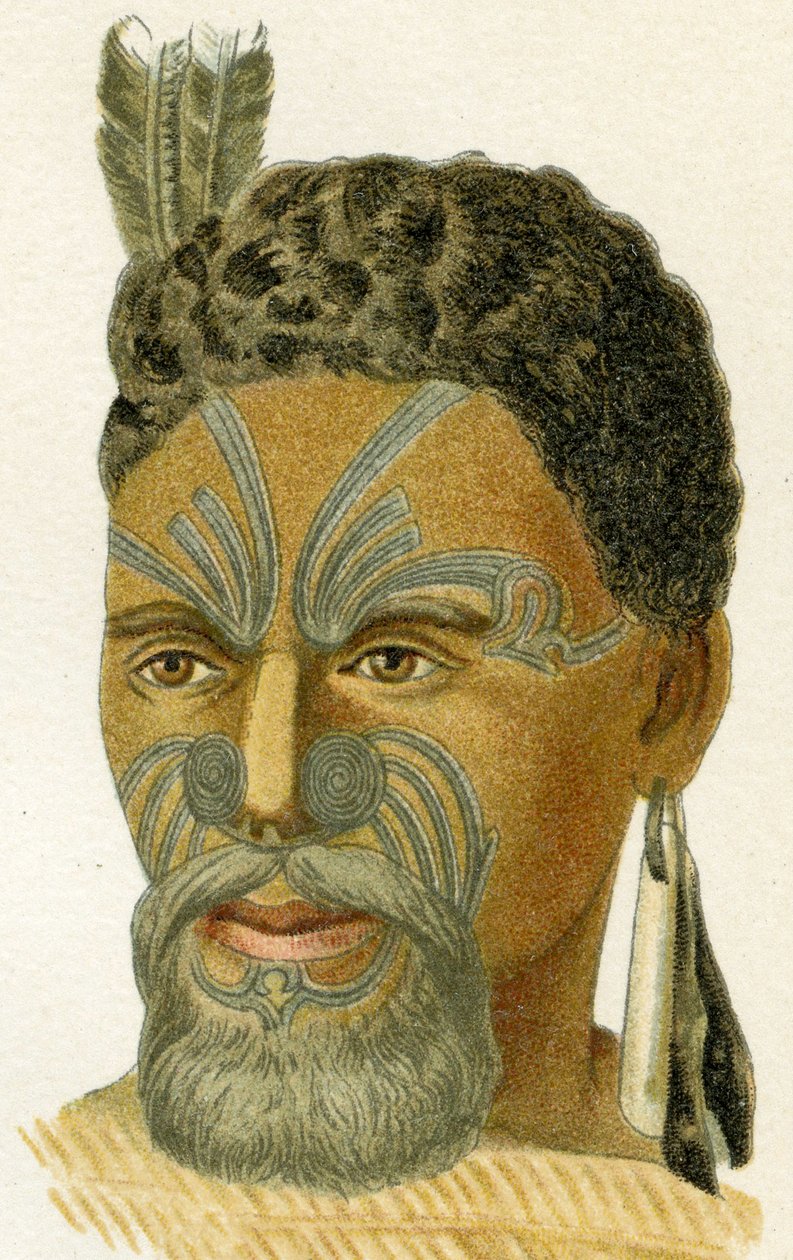 Tattooed Face of a Maori Chief, 1894 by German School