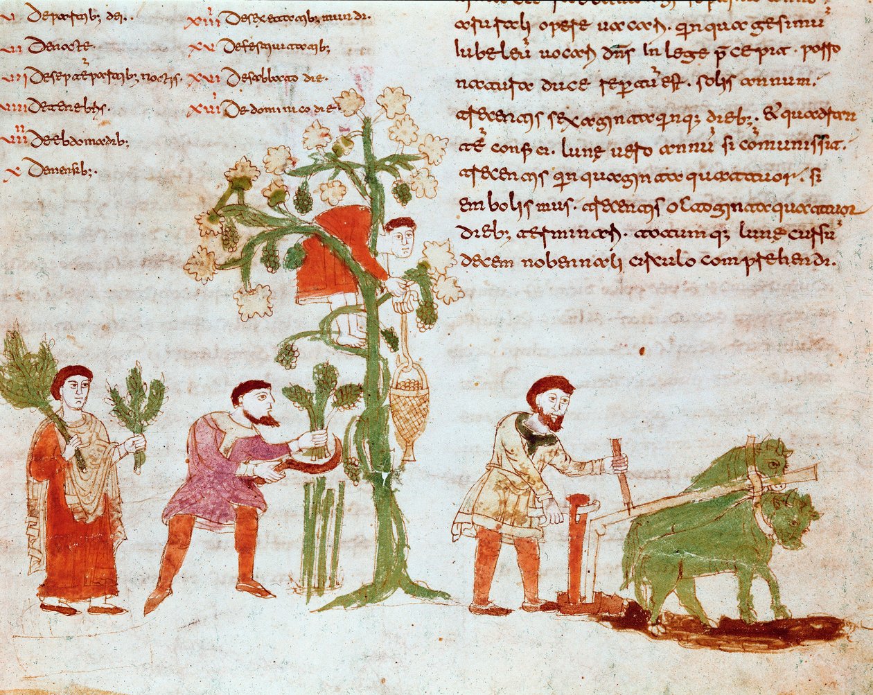 The Four Seasons: Scene of Plowing and Picking Grapes (Harvest) from the Manuscript 