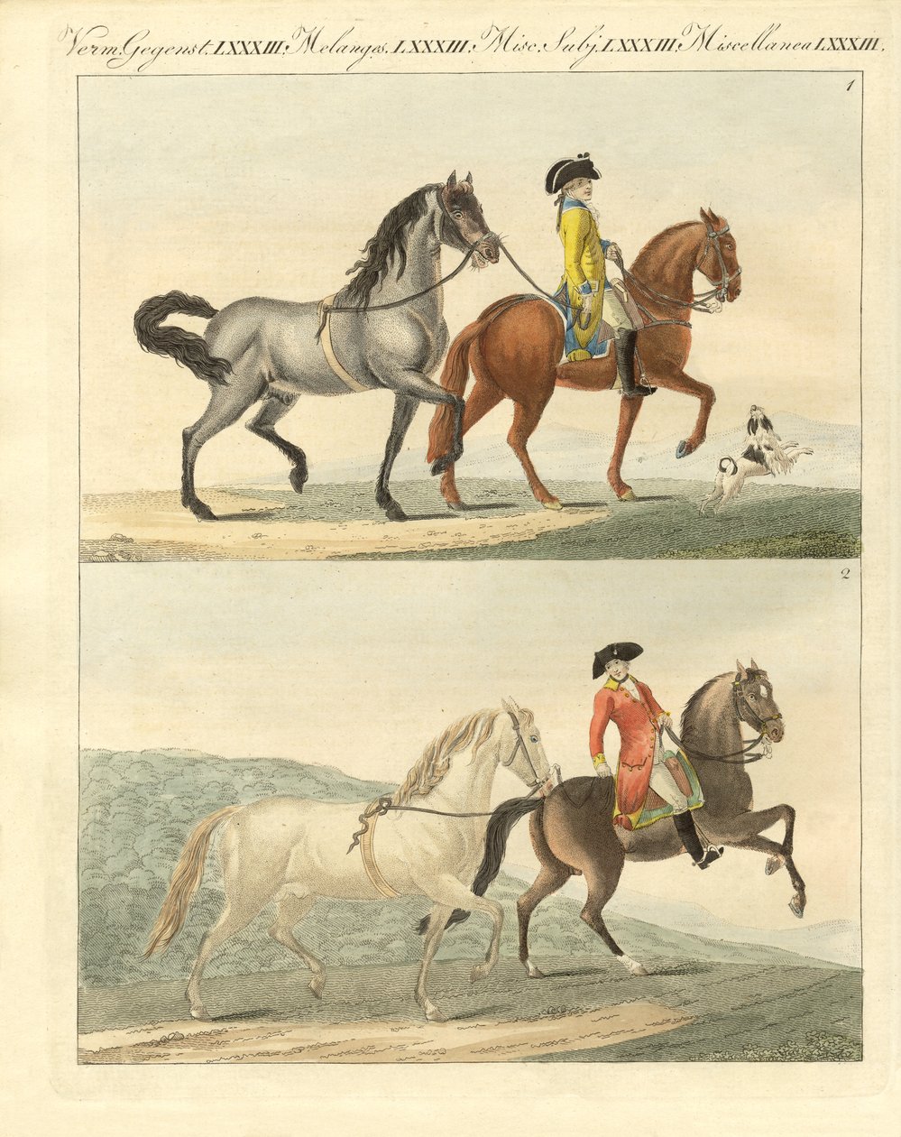 The Horse with its Different Kinds by German School