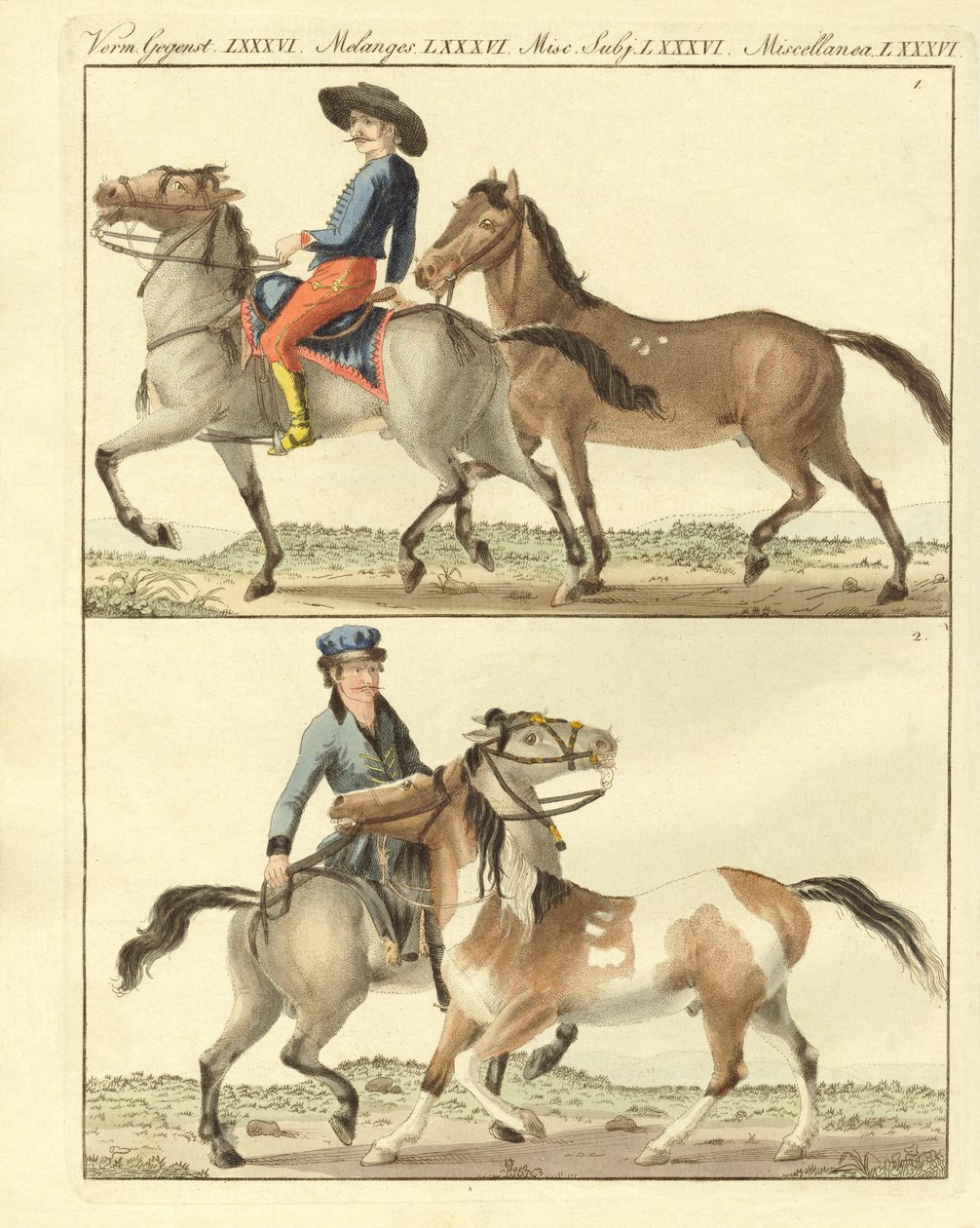 The Horse with its Different Kinds by German School