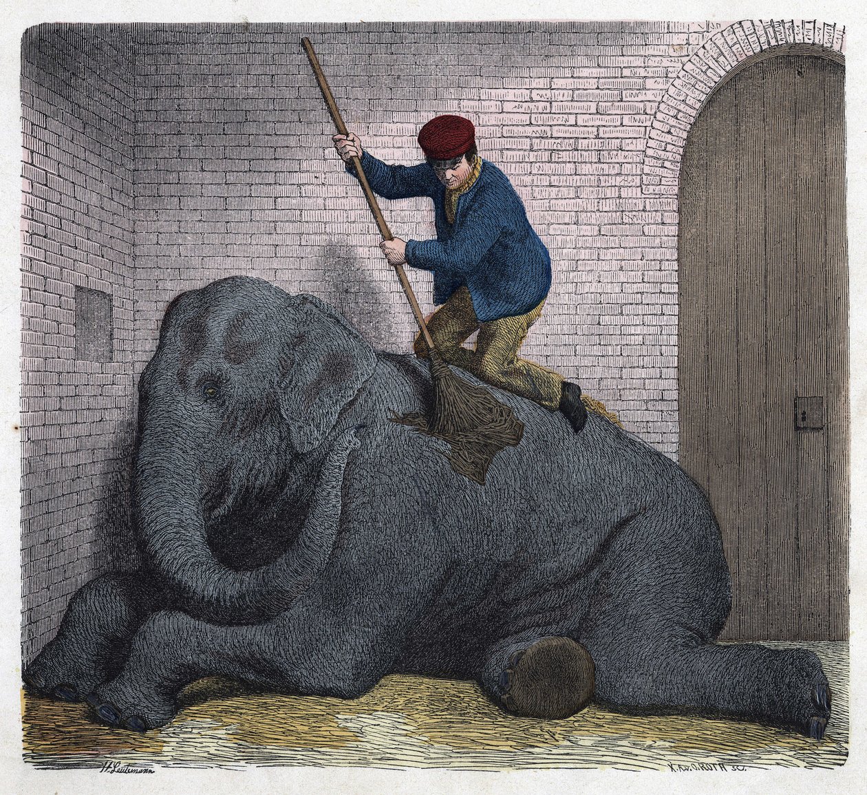 The morning toilet of the Lilli elephant. In “When someone travels, this is what he can tell”, German tale by Franz Wiedemann by German School