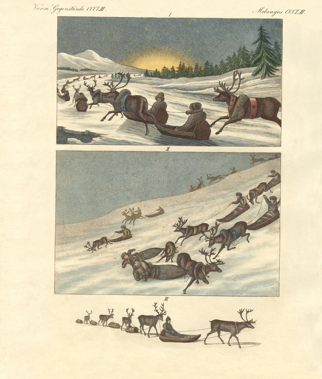Winter trips in Lapland by German School
